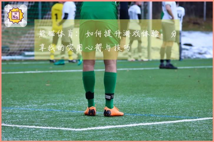 熊猫体育：如何提升游戏体验，分享我的实用心得与技巧